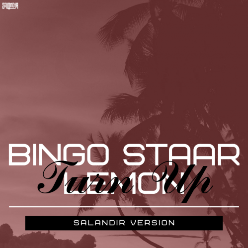Bingo Staar, Lemon x Voxi & Innoxi & Denis First - Turn Up (SAlANDIR Extended Version).mp3