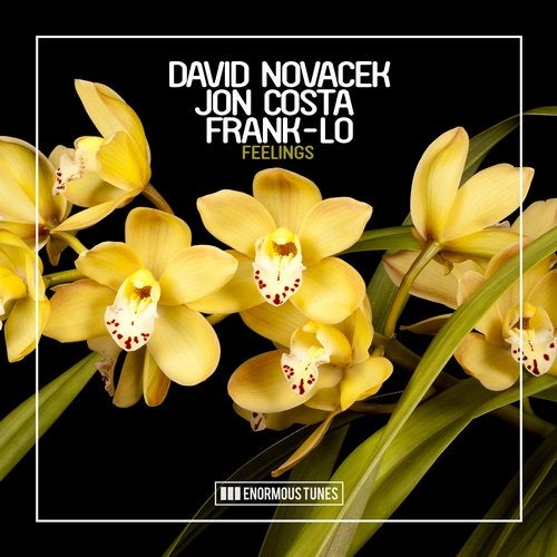 David Novacek, Jon Costa & Frank-Lo - Feelings (Leventina & Chris Reece Remix) [Enormous Tunes].mp3