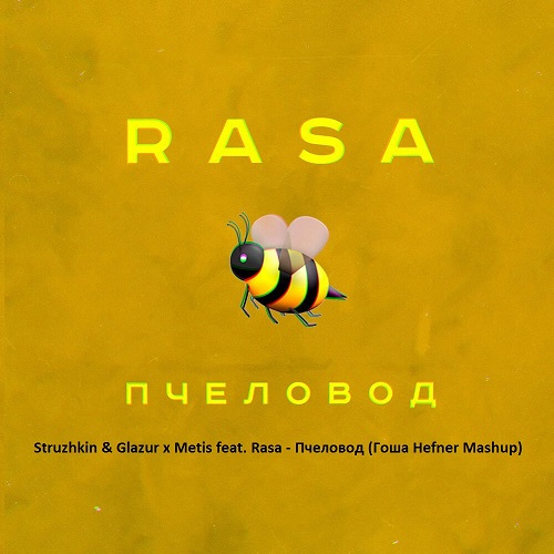 Struzhkin & Glazur  Metis feat. Rasa -  ( Hefner Mashup) [2020]