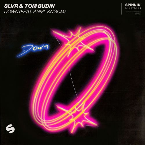 SLVR & Tom Budin - Down (feat. ANML KNGDM) (Extended Mix) Spinnin' Records.mp3