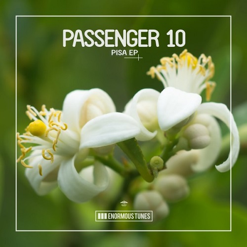 Passenger 10 - Amalfi (Extended Mix) Enormous Tunes.mp3
