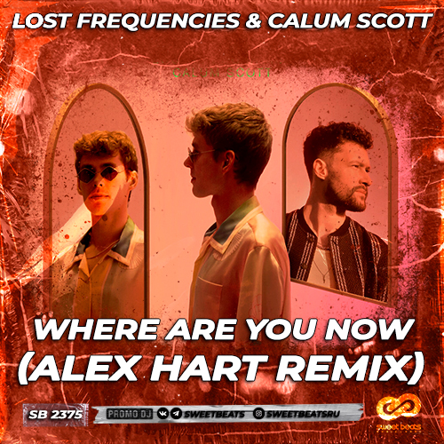 Lost Frequencies & Calum Scott - Where Are You Now (Alex Hart Remix).mp3
