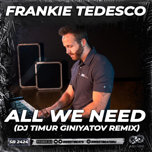 Frankie Tedesco - All We Need (Dj Timur Giniyatov Remix).mp3