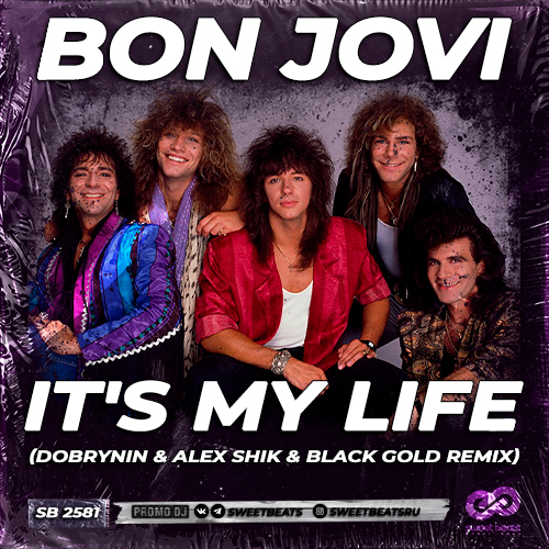 Bon Jovi - It's My Life (Dobrynin & Alex Shik & Black Gold Radio Edit).mp3