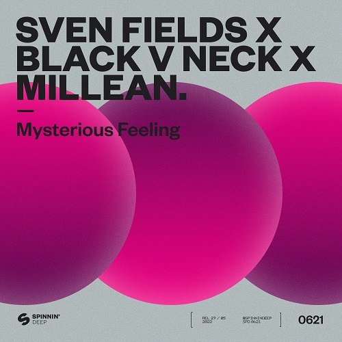 Sven Fields x Black V Neck x Millean. - Mysterious Feeling; Vassy X Gt_Ofice - Tuff (Sammy Porter Extended Remix) [2022]