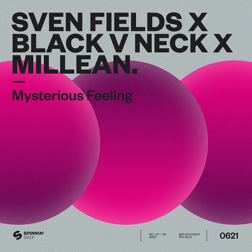 Sven Fields x Black V Neck x Millean. - Mysterious Feeling (Extended Mix) Spinnin' Deep.mp3