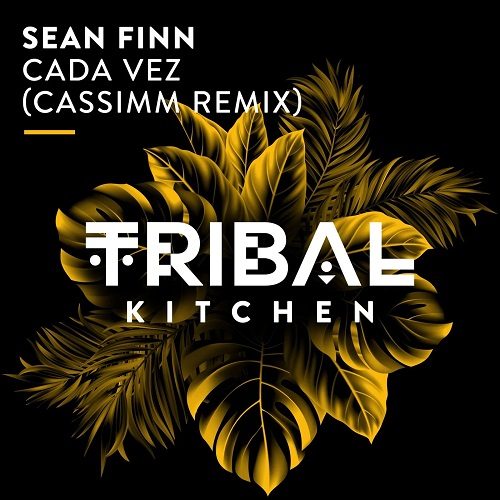 Sean Finn - Cada Vez (Cassimm Remix); Gianni Blu - Salsa; Florian Picasso - Ay Papi; Essed - Colombia [2023]