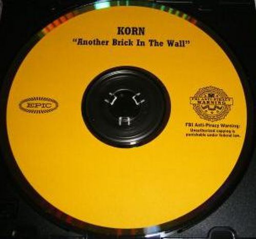 Korn - Another Brick in the Wall (cover Pink Floyd) (stray intro edit).mp3