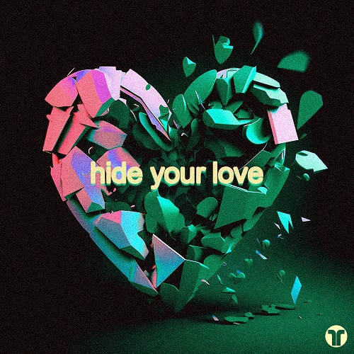 No Thanks - Hide Your Love (Extended Mix) [2023]