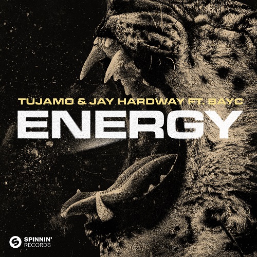 Tujamo x Jay Hardway - Energy (feat. Bay-C) (Instrumental Mix) Spinnin' Records.mp3