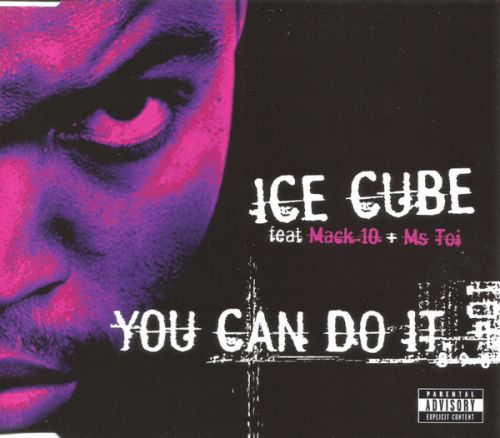 Ice Cube, Mack 10, Ms. Toi - You Can Do It (Stray Intro Outro Edit) [2023]