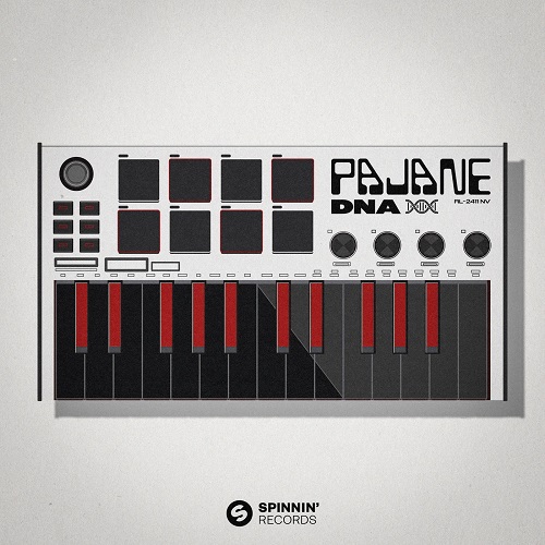 Pajane - DNA (Extended Mix) Spinnin' Records.mp3