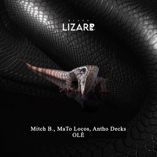 Mitch B., MaTo Locos, Antho Decks - Olè (Extended Mix) Black Lizard Records.mp3