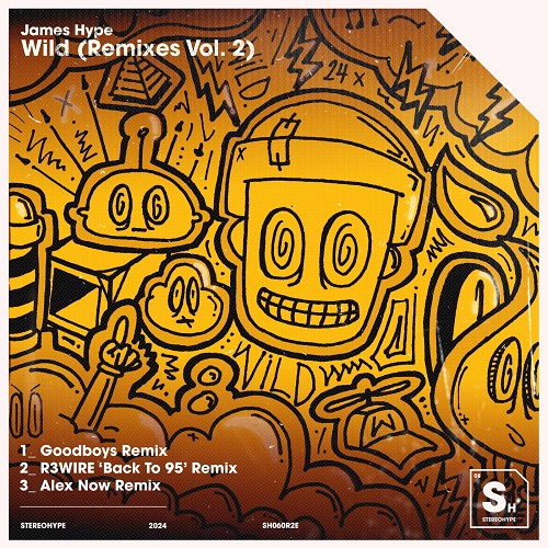 James Hype - Wild (Goodboys Remix) [2024]