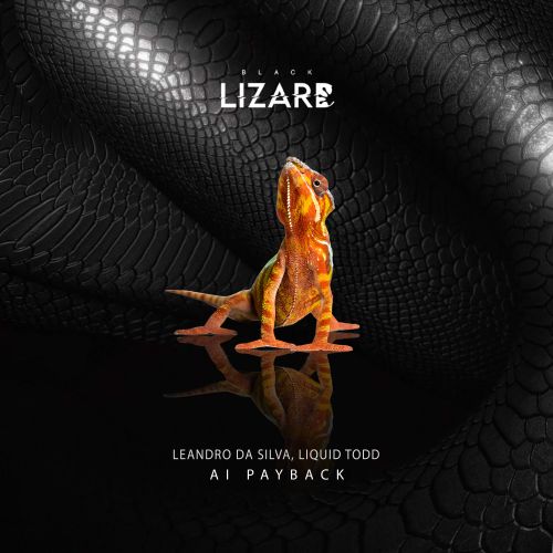 Liquid Todd, Leandro Da Silva - AI Payback (Extended Mix) Black Lizard Records.mp3