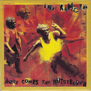 Ini Kamoze - Here Comes The Hotstepper (Stray Intro Outro Edit) [2024]