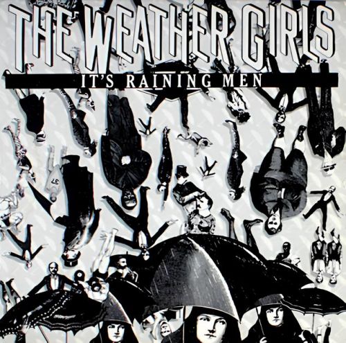 The Weather Girls - It's Raining Men (Stray Intro Outro Edit) [2024]