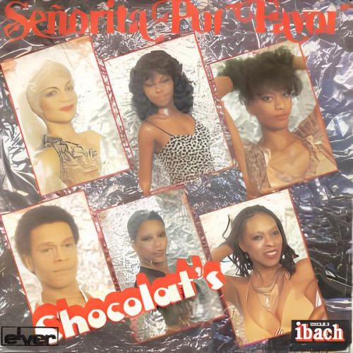 Chocolat's - Senorita Por Favor (Stray Intro Outro Edit) [2024]