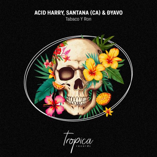 Acid Harry, Santana (Ca) & Ðyavo - Tabaco Y Ron (Extended Mix) [2025]
