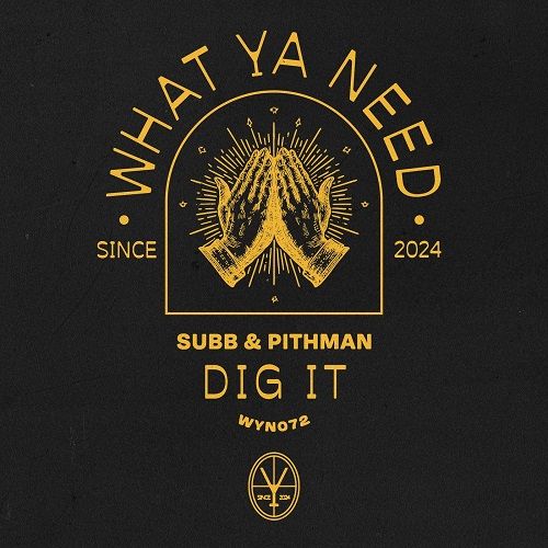 Subb, Pithman - Dig It (Extended Mix) [2026]